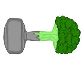 Healthy dumbbells With Half dumbbells and half Broccoli vector