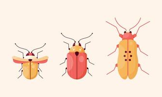insectos conjunto de escarabajos de diferente formas vector