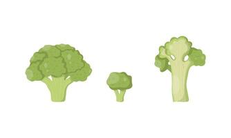 set with broccoli. Hand drawn broccoli from different angles vector