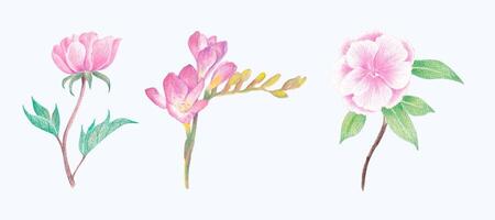 Hand-Drawn Blooming Flower - Spring Flower Illustration vector