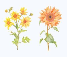 dibujado a mano floreciente flor - primavera flor ilustración vector