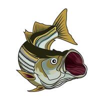 striped bass fishing illustration logo image t shirt vector