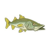 snook fishing illustration logo image t shirt vector