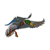 duck hunting illustration logo image t shirt vector