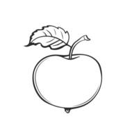 Simple linear black ink hand drawn apple. Sketch outline illustration. vector