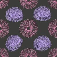 Seamless pattern with asters. Hand drawn illustration. vector