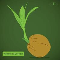 Sprout coconut seed vector