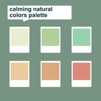 calming natural colors. combination of natural scenery in summer. summer in a collection of color palettes. refreshing earth tones sage, beige, and green pastel color vector