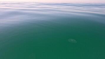 Sea water surface. Low angle view over clear azure sea water. Sun glare. Abstract nautical summer ocean nature. Holiday, vacation and travel concept. Nobody. Slow motion. Weather and climate change video