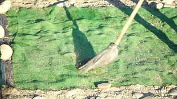 unrecognizable man sweeping the green carpet of artificial lawn on the beach from pebbles with broom. video