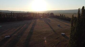 aéreo Visão do uma recentemente colhido campo pontilhado com palheiros durante pôr do sol. isto é perfeito para ilustrando a agricultura processo e a beleza do agrícola paisagens. video