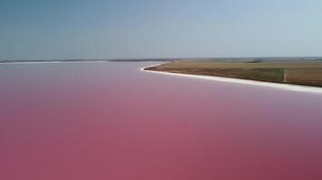 fliegend Über ein Rosa Salz- See. Salz- Produktion Anlagen Kochsalzlösung Verdunstung Teich Felder im das salzig See. dunaliella Salina vermitteln ein Rot, Rosa Wasser im Mineral See mit trocken kristallisiert salzig Küste video