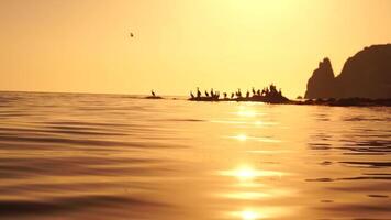 mer des oiseaux silhouette à le coucher du soleil. troupeau de cormorans, phalacrocorax carbo asseoir sur le rochers avant le coucher du soleil. troupeau de les oiseaux de mer, cormorans, mouettes, proche en haut séance sur une falaise Haut à coucher de soleil, lent mouvement video