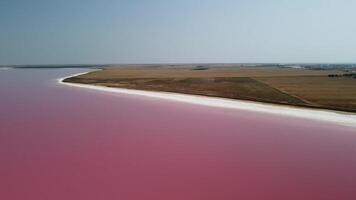 Flying over a pink salt lake. Salt production facilities saline evaporation pond fields in the salty lake. Dunaliella salina impart a red, pink water in mineral lake with dry cristallized salty coast video