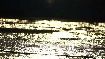 piccolo mare onda, morbido bianca schiumoso onde lavaggio d'oro sabbioso spiaggia su tramonto. oceano onde su sabbioso spiaggia. nessuno. vacanza ricreazione concetto. astratto nautico estate oceano tramonto natura sfondo. video