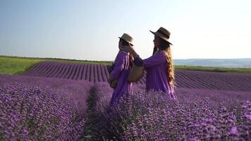 lavanda, campo, caminhando - dois senhora dentro tolet vestir, atravessar roxa flores, grande aberto espaço, luz do dia, natureza beleza. mãe e filha de mãos dadas mover no meio roxa flora, expansivo rural área video