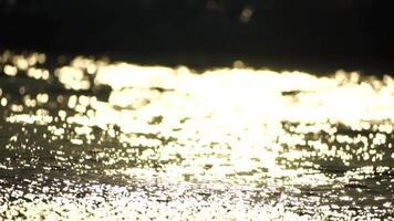 piccolo mare onda, morbido bianca schiumoso onde lavaggio d'oro sabbioso spiaggia su tramonto. oceano onde su sabbioso spiaggia. nessuno. vacanza ricreazione concetto. astratto nautico estate oceano tramonto natura sfondo. video