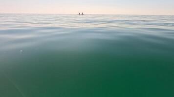 Sea water surface. Low angle view over clear azure sea water. Sun glare. Abstract nautical summer ocean nature. Holiday, vacation and travel concept. Nobody. Slow motion. Weather and climate change video