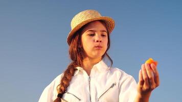 femme dans lavande champ - content Dame dans chapeau manger abricot sur ensoleillé jour, errant dans lavande champ, apprécier la nature. fille marcher au milieu de lavande fleurs, vaste champ pendant le coucher du soleil video