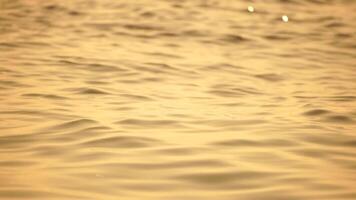 sfocato d'oro mare a tramonto. il sole riflette e scintille su il onde con bokeh, illuminante il d'oro mare. vacanza ricreazione concetto. astratto nautico estate oceano tramonto natura sfondo. video