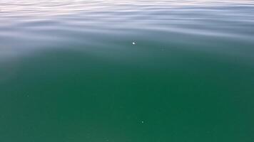 mare acqua superficie. Basso angolo Visualizza al di sopra di chiaro azzurro mare acqua. sole bagliore. astratto nautico estate oceano natura. vacanza, vacanza e viaggio concetto. nessuno. lento movimento. tempo metereologico e clima modificare video