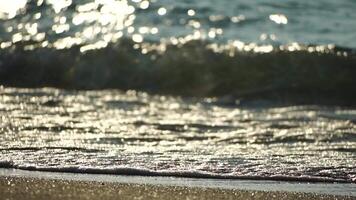 pequeño mar ola, borroso suave espumoso olas Lavado dorado arenoso playa en puesta de sol. Oceano olas en arenoso playa. nadie. fiesta recreación concepto. resumen náutico verano Oceano puesta de sol naturaleza antecedentes. video