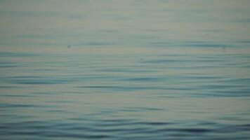 Meer Wasser Oberfläche. Kamera fliegt Über das Ruhe azurblau Meer. niemand. Urlaub Erholung Konzept. abstrakt nautisch Sommer- Ozean Natur. Wetter und Klima ändern. schleppend Bewegung. schließen oben video