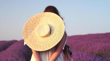 kvinna i lavendel- fält - Lycklig lady i hatt åtnjuter solig dag, vandrande i lavendel- fält, uppskattar natur. flicka uppskattar lavendel- bukett doft, stående i fält, på en klar dag. video