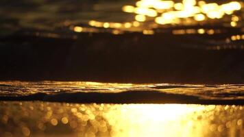 pequeño mar ola, borroso suave espumoso olas Lavado dorado arenoso playa en puesta de sol. Oceano olas en arenoso playa. nadie. fiesta recreación concepto. resumen náutico verano Oceano puesta de sol naturaleza antecedentes. video
