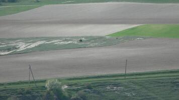 un' primavera agricoltura campo con lussureggiante erba con un' pochi alberi nel il sfondo. il cielo è nuvoloso e il sole è non visibile video