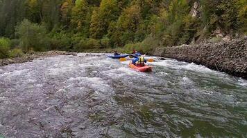 une content enthousiaste mâles dans gonflables canoës ayant une amusement balade dans calme des eaux de une rivière video