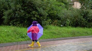 Little boy running on city street in fall season. Child playing in autumn rain. Kid with umbrella. Outdoor fun for kids by any weather. Rain waterproof wear, boots and jacket for children video