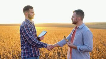 Two farmers standing outdoors in soy field in autumn shaking hands on deal. Handshake on soybean field video