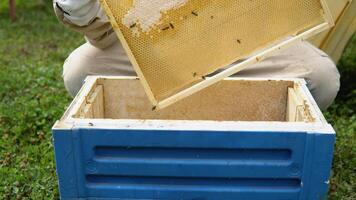 Imker beim arbeiten. Biene Bewahrer Heben Regal aus von Bienenstock. das Imker spart das Bienen video