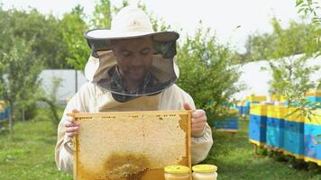 portret van imker met een honingraat kader en potten met honing. bijenteelt concept. imker oogsten honing video