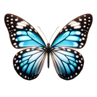 papillon isolé sur fond transparent png