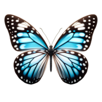 mariposa aislada sobre fondo transparente png