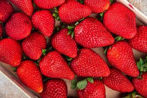 strawberry red berries fresh ripe fruit appetizer meal food snack on the table copy space food photo