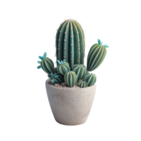 Kaktus Pflanze im ein Topf auf ein transparent Hintergrund png