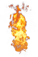 Fire flames looped on transparency background png