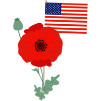 American flag with red poppy flower png