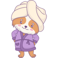 Dog in bathrobe and with towel on head png