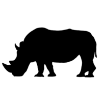 Black Rhino Illustration - Wild Animal - Rhino Clip Art png