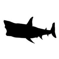 Black Shark Drawing - Shark Illustration - Shark Clip Art png