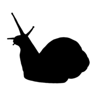 zwart slak tekening - schattig slak - slak klem kunst png