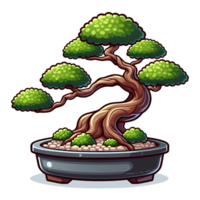 bonsai tree in a pot png