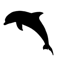 schwarz Delfin Illustration - - Delfin Clip Kunst - - Delfin Zeichnung png