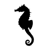 noir hippocampe dessin - hippocampe illustration - hippocampe agrafe art png