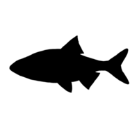 Preto mar peixe ilustração - peixe desenhando - peixe grampo arte png