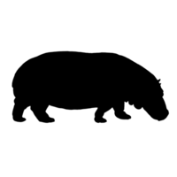 Black Hippo Clip Art - Hippo Drawing - Hippo Illustration png